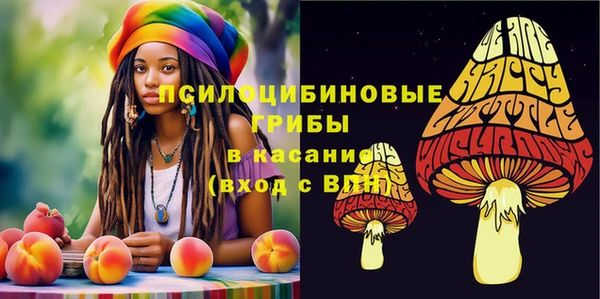 альфа пвп Абаза