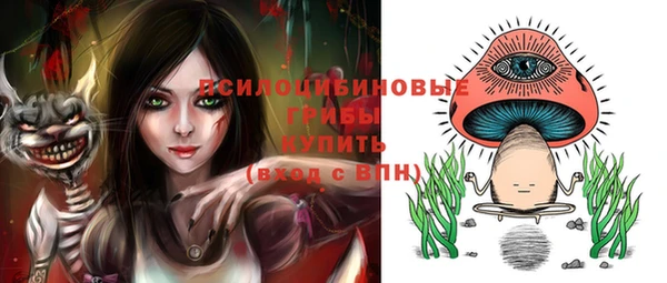 PSILOCYBIN Абинск
