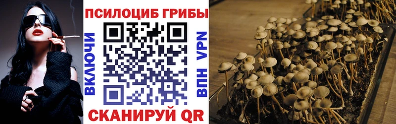 Галлюциногенные грибы Psilocybine cubensis цена Приволжск