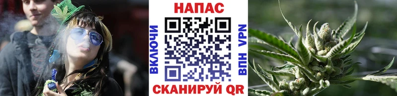 mega онион  Приволжск  Шишки марихуана SATIVA & INDICA 